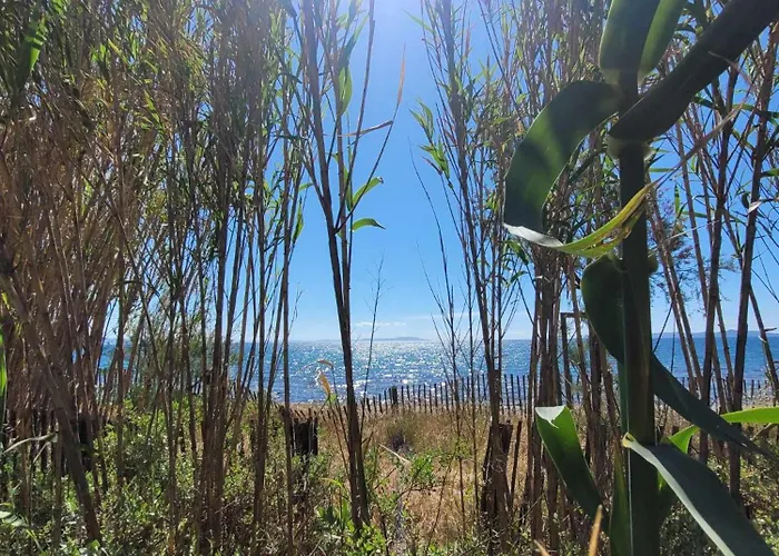 Campingplatz Mobil-home A 200 M Des Plages